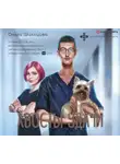 Ольга Шильцова - Хвосты удачи. Истории из жизни ветеринарного врача