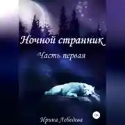 Постер книги Ночной странник. Часть первая