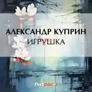 Постер книги Игрушка