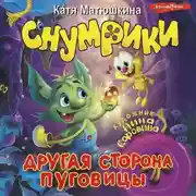 Постер книги Снумрики. Другая сторона пуговицы