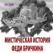 Постер книги Мистическая история Феди Бричкина