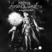 Постер книги Порок справедливости