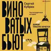 Постер книги Домой ужасно хочется