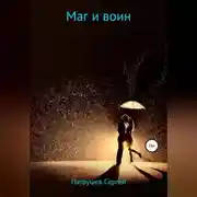 Постер книги Маг и воин