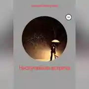 Постер книги Неслучайная встреча
