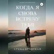 Постер книги Когда я снова встречу тебя
