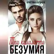 Постер книги Три километра безумия