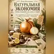 Постер книги Натуральная экономия