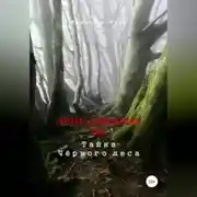 Постер книги Приключения ДД. Тайна Чёрного леса