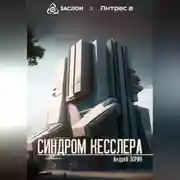 Постер книги Синдром Кесслера