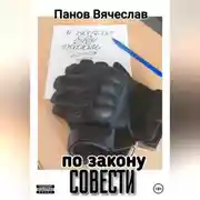 Постер книги По закону совести