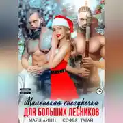 Постер книги Маленькая Снегурочка для больших лесников