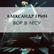 Постер книги Вор в лесу