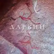 Постер книги Дарвин
