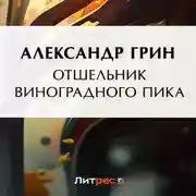 Постер книги Отшельник Виноградного пика
