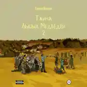 Постер книги Тайна Лысых Медведей 2