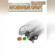Постер книги Бесценный опыт