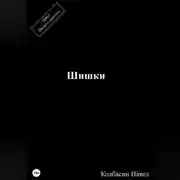 Постер книги Шишки