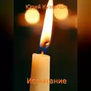 Постер книги Испытание