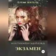 Постер книги Не остановишь силой дождь. Экзамен