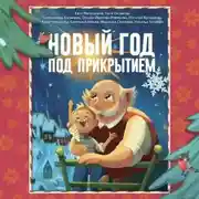 Постер книги Новый год под прикрытием