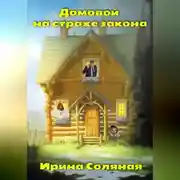 Постер книги Домовой на страже закона