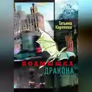 Постер книги Подмышка дракона