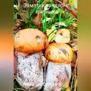 Постер книги Заметки заядлого грибника