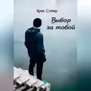 Постер книги Выбор за тобой