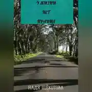 Постер книги У жизни нет правил