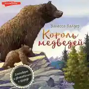 Постер книги Король медведей