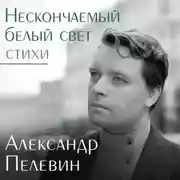 Постер книги Нескончаемый белый свет