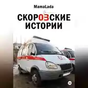 Постер книги Скоровские истории