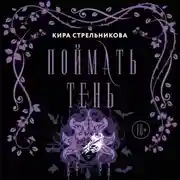 Постер книги Поймать Тень