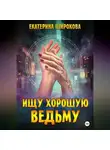 Екатерина Широкова - Ищу хорошую ведьму