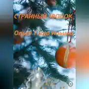 Постер книги Странный звонок