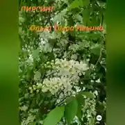 Постер книги Пирсинг