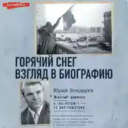 Постер книги Горячий снег. Взгляд в биографию