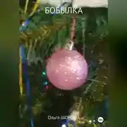 Постер книги Бобылка