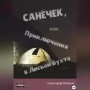 Постер книги Санёчек, или Приключения в Лисьей бухте