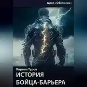Постер книги Обелиски. История бойца-барьера