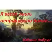 Постер книги Я всего лишь неправильно понял...