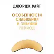 Постер книги Особенности снабжения в зимний период