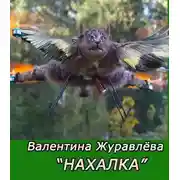 Постер книги Нахалка