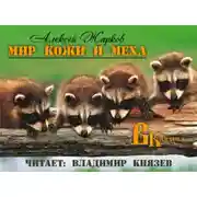 Постер книги Мир кожи и меха