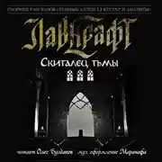 Постер книги Скиталец тьмы