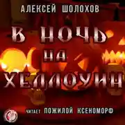 Постер книги В Ночь на Хеллоуин