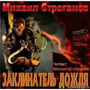 Постер книги Заклинатель дождя