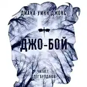 Постер книги Джо-бой