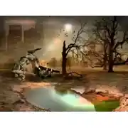 Постер книги Цветок папоротника